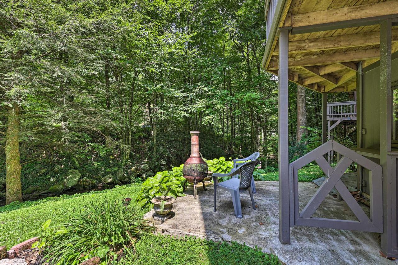 Creekside Roan Mountain Cabin Walk To Trails Esterno foto