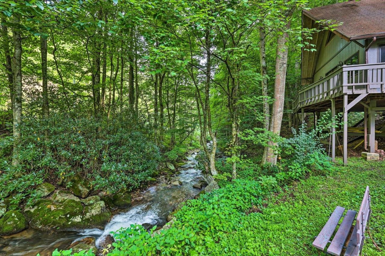 Creekside Roan Mountain Cabin Walk To Trails Esterno foto