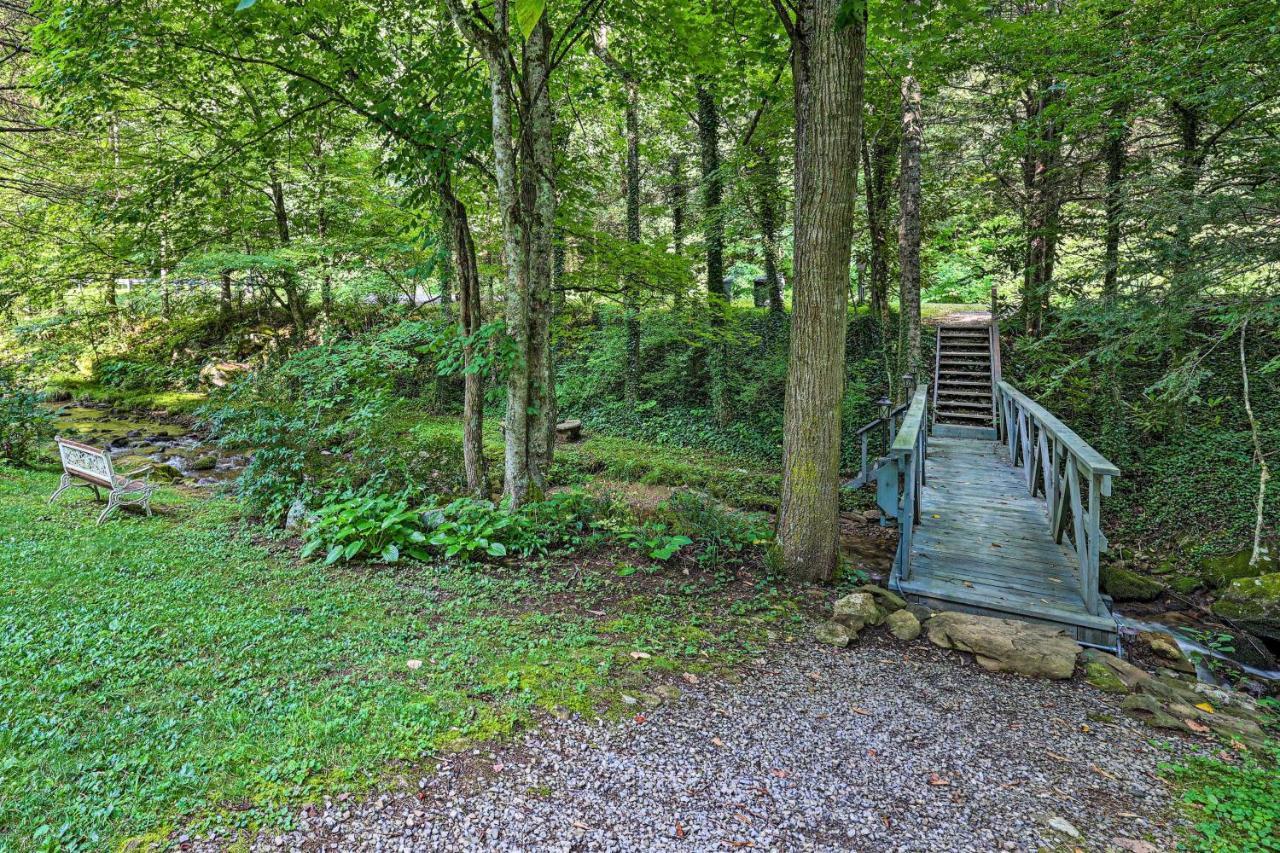 Creekside Roan Mountain Cabin Walk To Trails Esterno foto