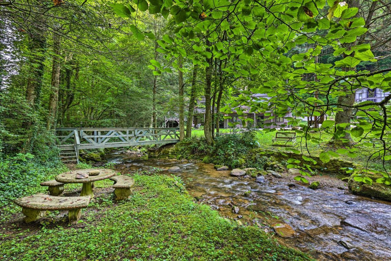 Creekside Roan Mountain Cabin Walk To Trails Esterno foto