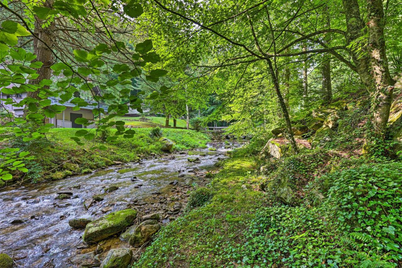 Creekside Roan Mountain Cabin Walk To Trails Esterno foto